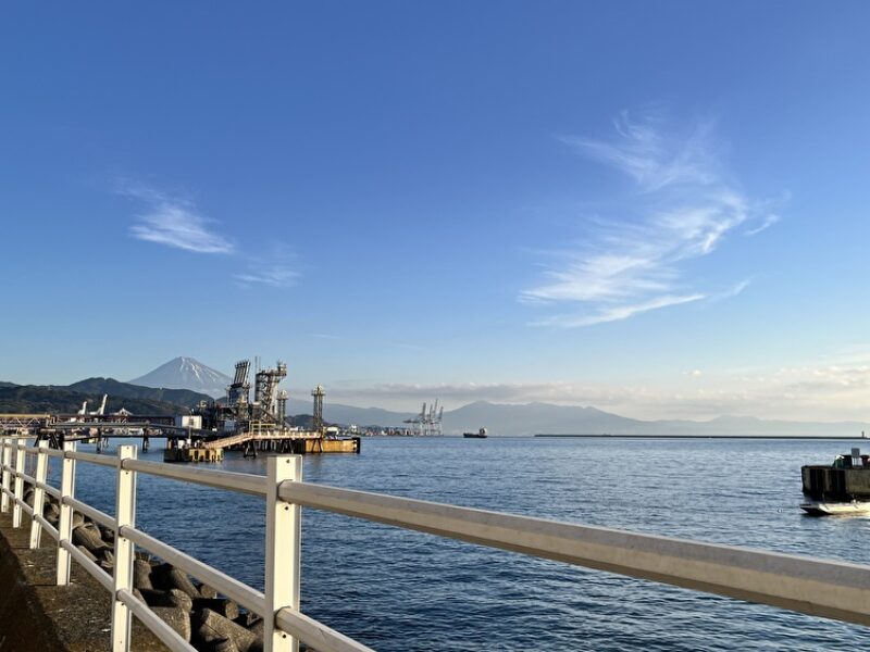冷凍マグロの水揚げ地　清水港
