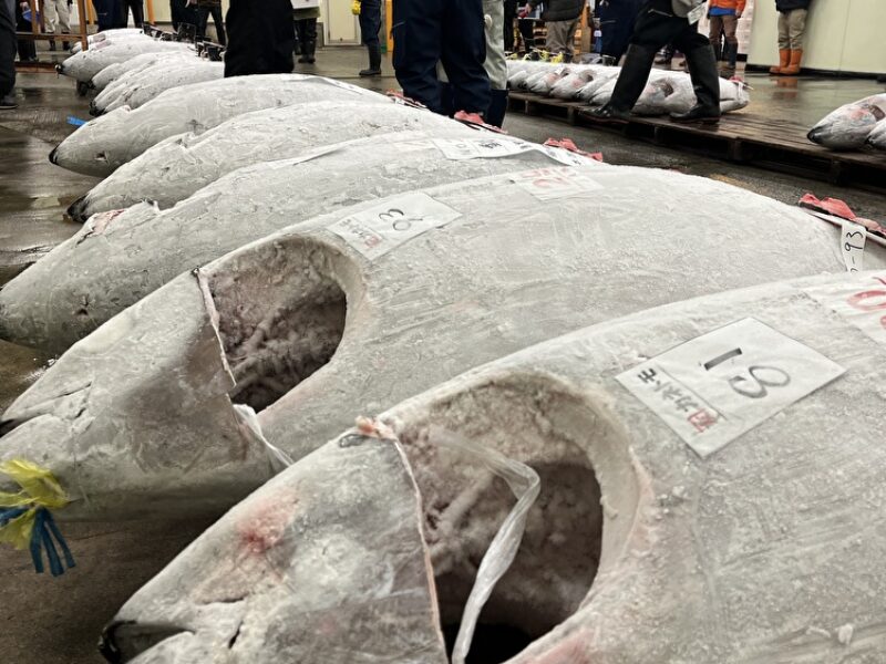 今日も相場が動いた