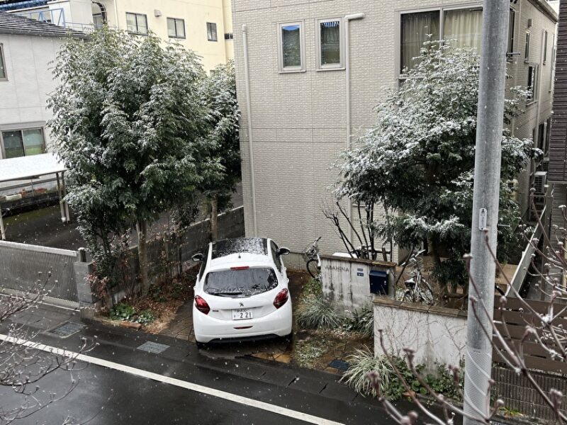 静岡市内でも雪！
