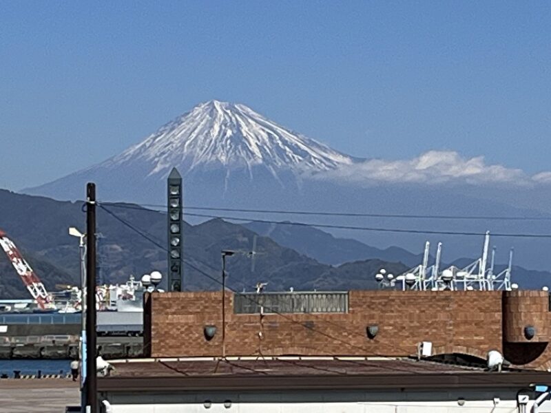 冬鬱（ウインターブルー)