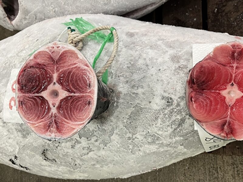 頭から尻尾まで