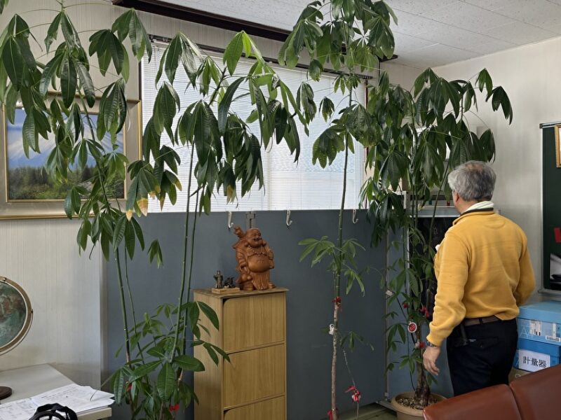 思い切りました！