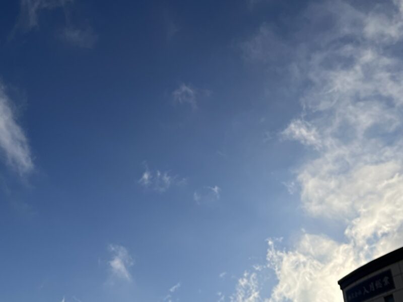 願いはただ一つ