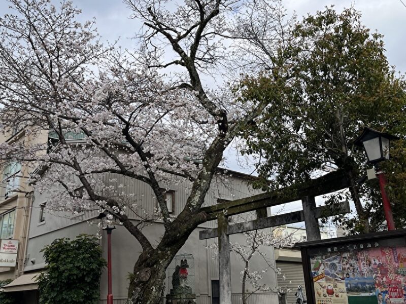 親知らずの抜歯