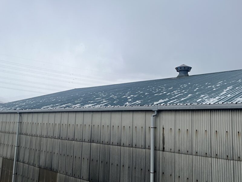 静岡でもみぞれが…