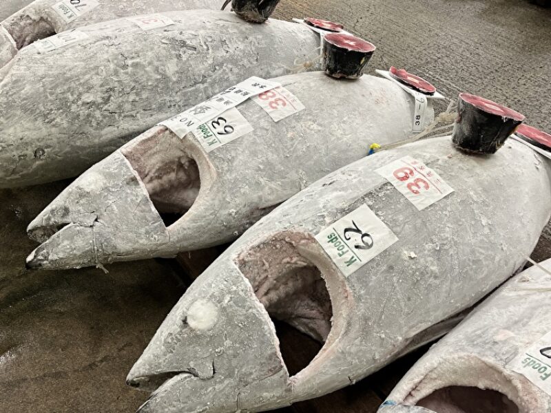 行ったり来たり