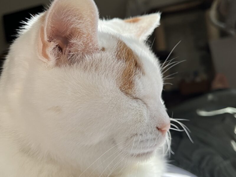 思い込みは禁物