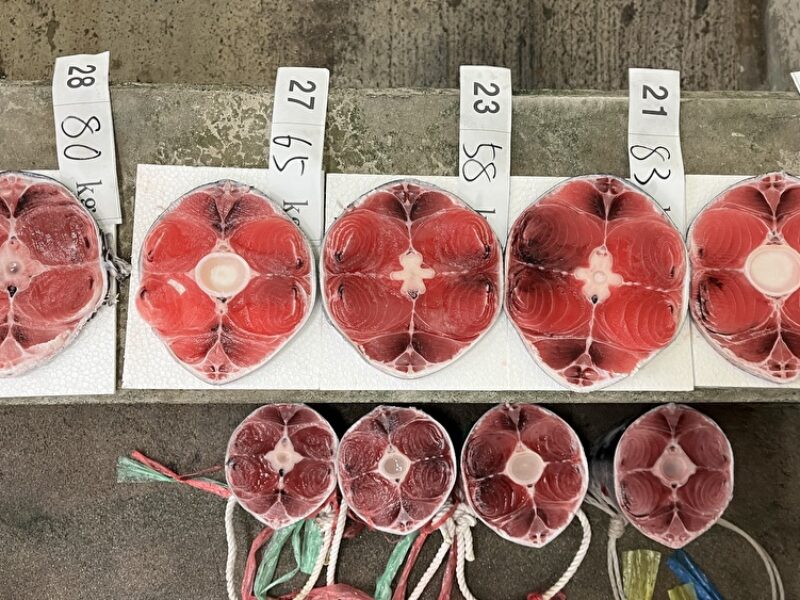 解凍しなくては分からないこと