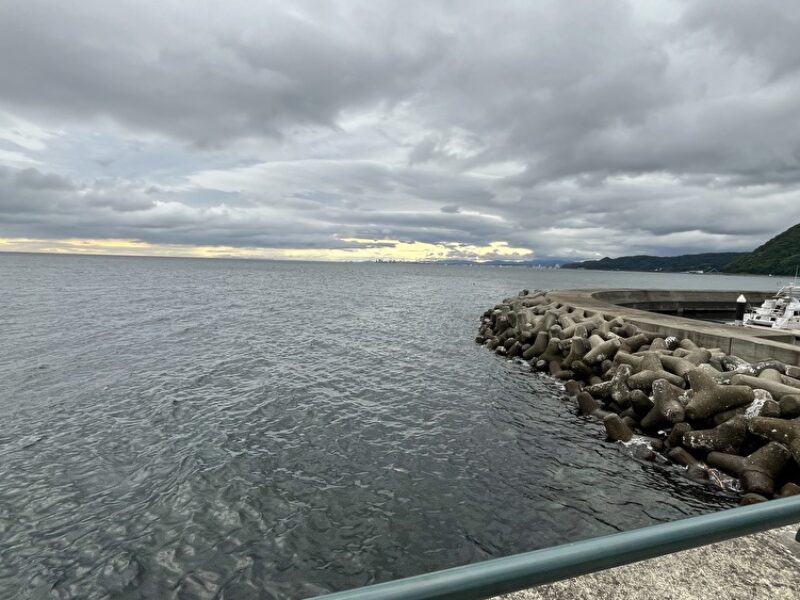 マグロを知らなかった男